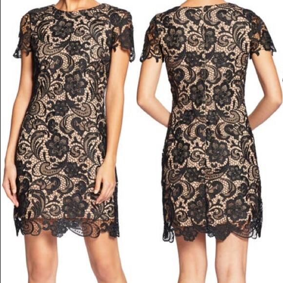 NWT Dress the population Anna lace sheath dress sz XL - Picture 2 of 8